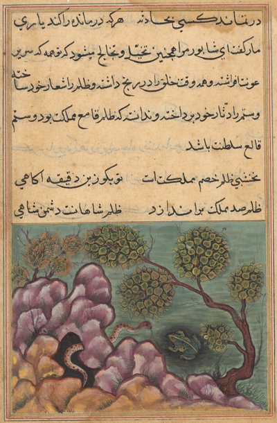 Oldal a Papagáj meséiből Tuti-nama: Huszonhatodik éjszaka: A trónfosztott béka..., c. 1560. alkotó: Unbekannt