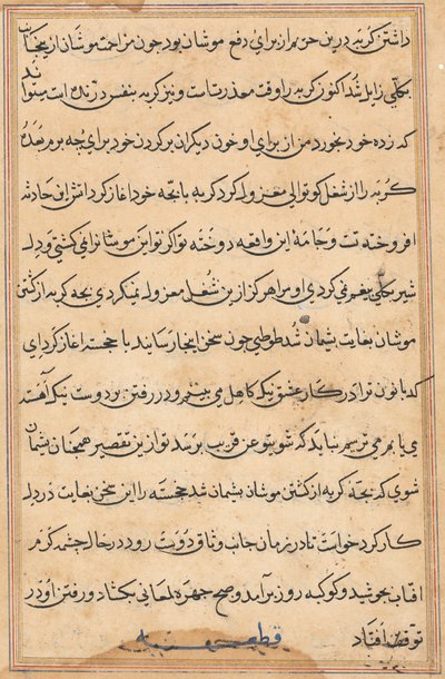 Oldal a Papagáj meséiből Tuti-nama: szövegoldal, c. 1560. alkotó: Unbekannt