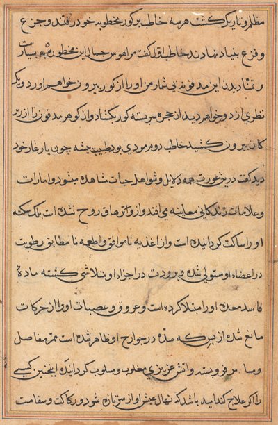 Oldal a Papagáj meséiből Tuti-nama: szövegoldal, c. 1560. alkotó: Unbekannt