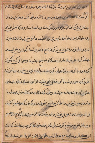 Oldal a Papagáj meséiből Tuti-nama: szövegoldal, c. 1560. alkotó: Unbekannt