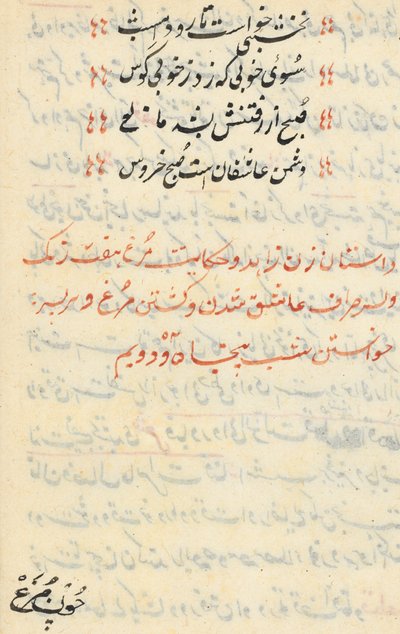 Oldal a Papagáj meséiből Tuti-nama: szövegoldal, c. 1560. alkotó: Unbekannt