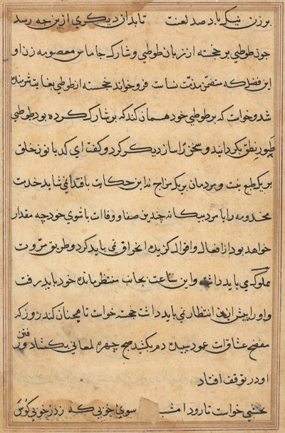Oldal a Papagáj meséiből Tuti-nama: szövegoldal, c. 1560. alkotó: Unbekannt
