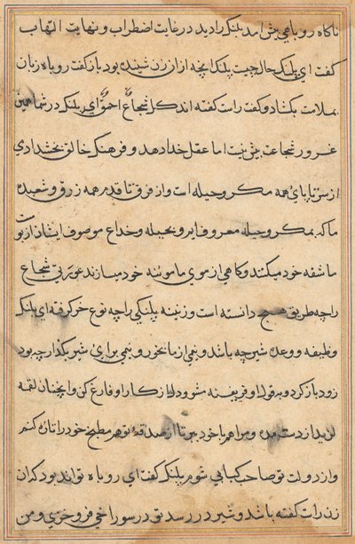 Oldal a Papagáj meséiből Tuti-nama: szövegoldal, c. 1560. alkotó: Unbekannt