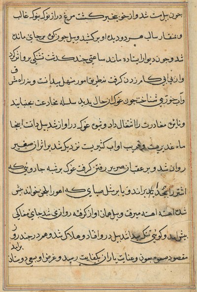 Oldal a Papagáj meséiből Tuti-nama: szövegoldal, c. 1560. alkotó: Unbekannt