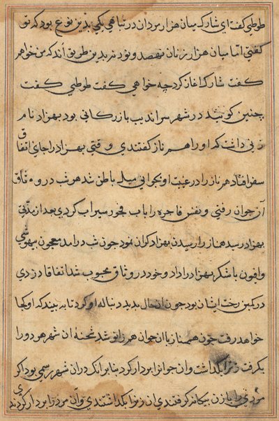 Oldal a Papagáj meséiből Tuti-nama: szövegoldal, c. 1560. alkotó: Unbekannt