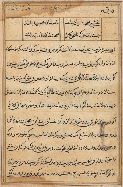Oldal a Papagáj meséiből Tuti-nama: szövegoldal, c. 1560. alkotó: Unbekannt