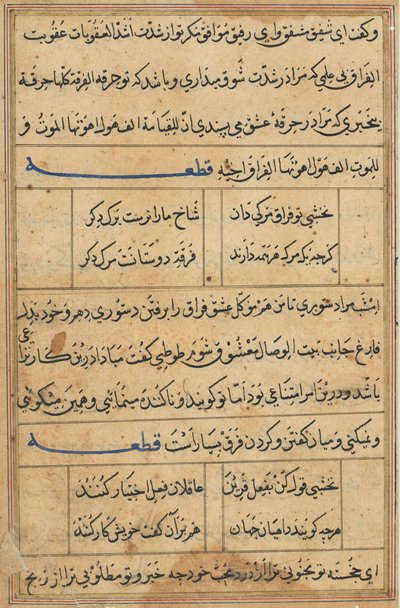Oldal a Papagáj meséiből Tuti-nama: szövegoldal, c. 1560. alkotó: Unbekannt