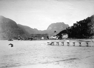 Pago Pago kikötője, Tutuila szigetén, Amerikai Szamoán, 1889 alkotó: Unbekannt