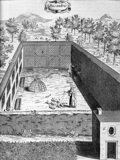 Fácán, 1775 alkotó: Unbekannt