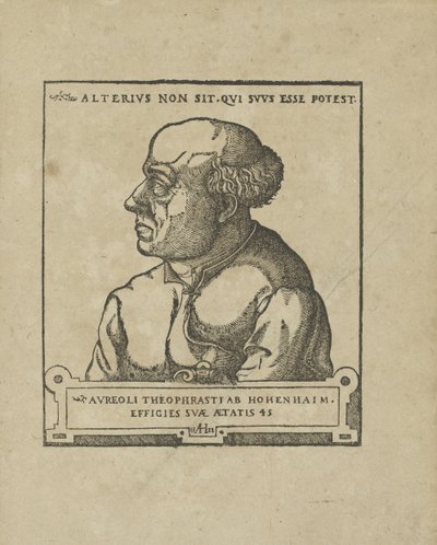 Philippus Theophrastus Aureolus Bombastus von Hohenheim Paracelsus, 1538 körül. alkotó: Unbekannt