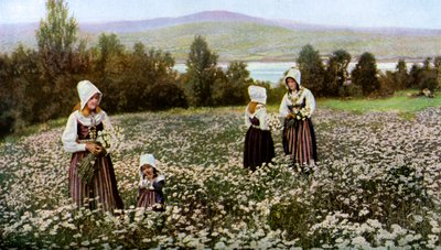 Virágszedés egy réten Leksand közelében, Svédországban, 1923 alkotó: Unbekannt