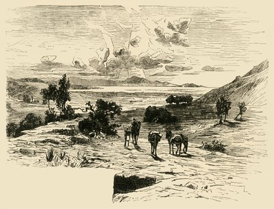 Marathoni síkság, 1890. alkotó: Unbekannt