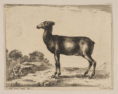 15. tábla: őzike, Különféle állatokból Diversi animali, 1641 után. alkotó: Unbekannt