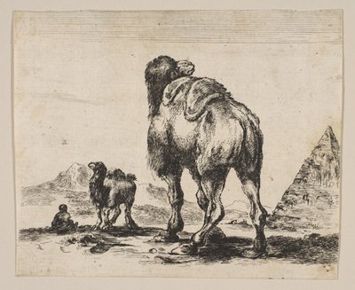 18. tábla: teve hátulról nézve, jobb oldalon piramis, Különféle állatok Di...-ról, 1641 után. alkotó: Unbekannt