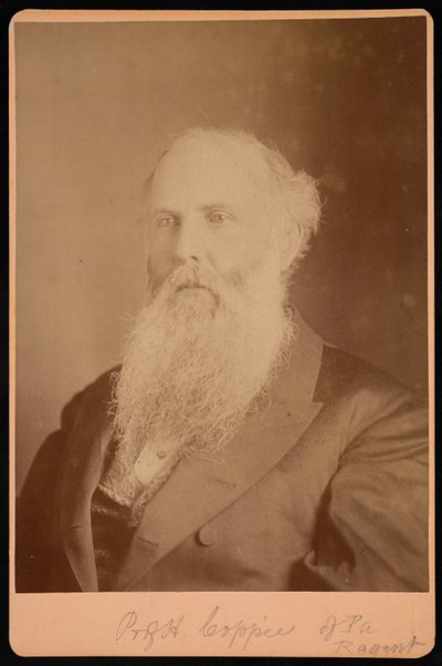 Henry Coppee portréja 1821-1895, 1875. alkotó: Unbekannt