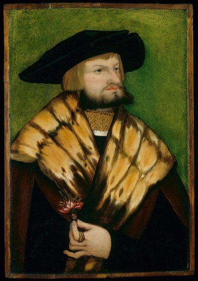 Leonhard Fuchs portréja, 1525. alkotó: Unbekannt