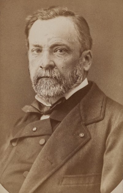 Louis Pasteur portréja 1822-1895, c. 1870. alkotó: Unbekannt