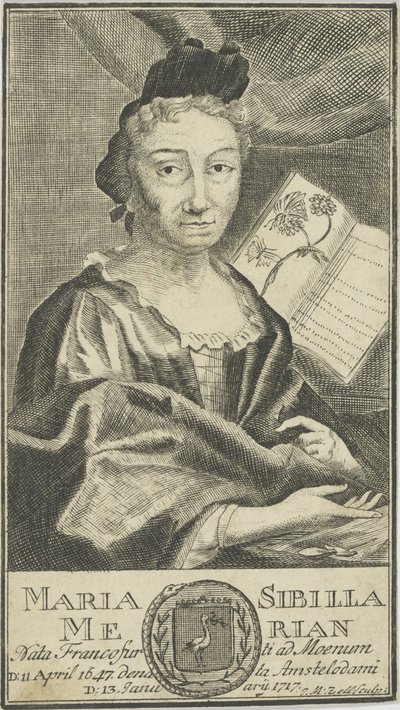 Maria Sibylla Merian portréja 1647-1717, 1755. alkotó: Unbekannt