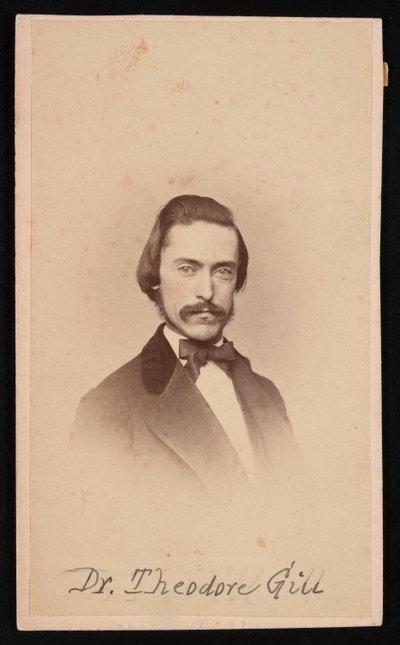 Theodore Nicholas Gill portréja 1837-1914, 1860 körül. alkotó: Unbekannt