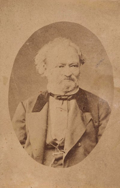 Erkel Ferenc zongoraművész és zeneszerző portréja 1810-1893, c. 1875. alkotó: Unbekannt