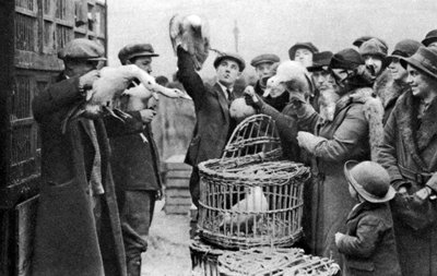 Baromfikereskedők, Caledonian Market, London, 1926-1927 alkotó: Unbekannt