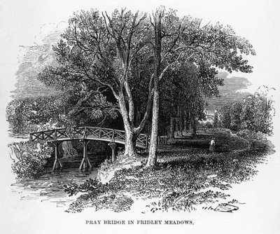 Pray Bridge in Fridley Meadows, Surrey, 19. század alkotó: Unbekannt