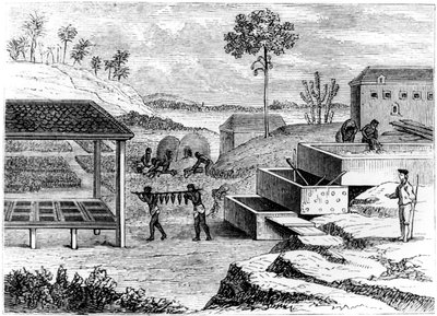 Indigó előkészítése, Santo Domingo, 1873 alkotó: Unbekannt