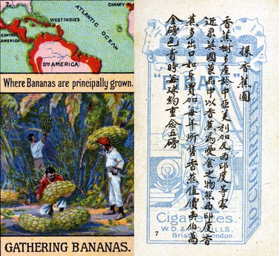 A banántermesztés fő területei a „Products of the World” cigarettakártya-sorozatból, amelyet a Wills „Pirate” Cigarettes gyárt a kínai piac számára alkotó: Unbekannt