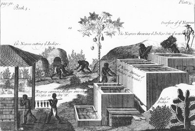Indigófesték előállítása rabszolgamunkával: Nyugat-India vagy Közép-Amerika, 1725 alkotó: Unbekannt