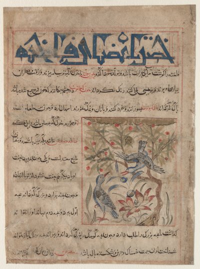 A Ringdoves recto tulajdonságai, A fürj előnyeiről verso..., c. 1300. alkotó: Unbekannt
