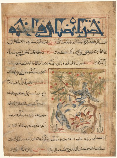 A Ringdoves recto minőségei egy Manafi al-Hayawanból Az állatok hasznosságáról c. 1300. alkotó: Unbekannt