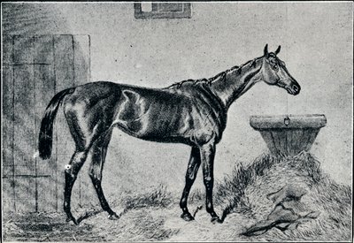 Bertha királyné, 19. század, 1911 alkotó: Unbekannt