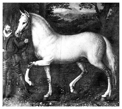 Erzsébet királynő ló, 1896 alkotó: Unbekannt