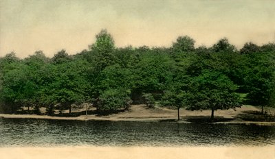 Queensmere, Wimbledon Common, London, 1903. alkotó: Unbekannt