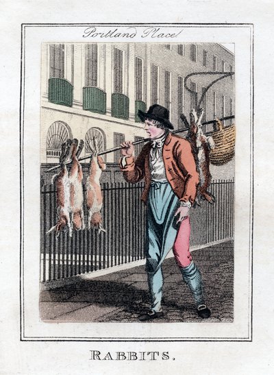 Rabbits, Portland Place, London, 1805 alkotó: Unbekannt
