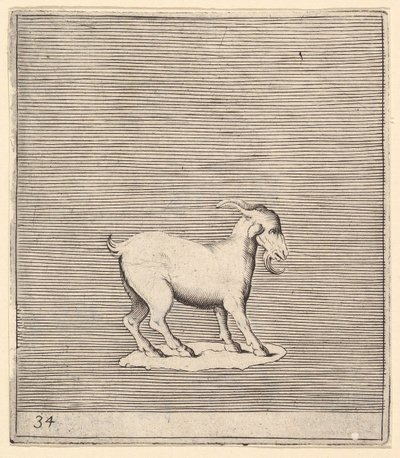 Ram, megjelent kb. 1599-1622. alkotó: Unbekannt