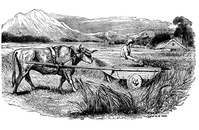 A római aratószekér rekonstrukciója Plinius leírása szerint, Metszet, 1860 alkotó: Unbekannt
