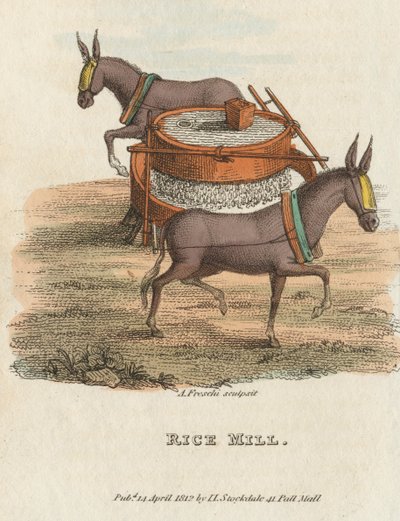 Rizsmalom, 1813 alkotó: Unbekannt