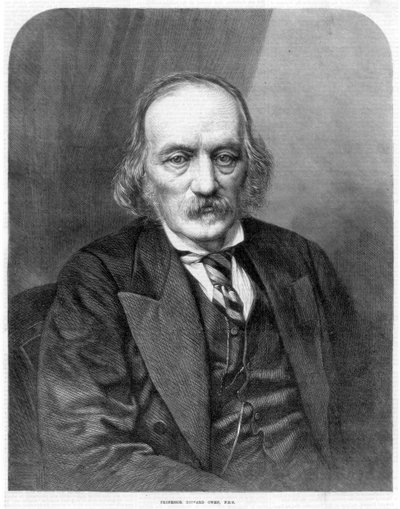Richard Owen angol anatómus és paleontológus, 1872 alkotó: Unbekannt