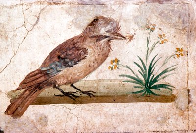 Jay római falfestménye a Pompeii melletti Boscoreale-ből, 1. század alkotó: Unbekannt