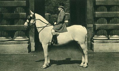 Royal Outrider a Scarlet Liveryben, 1950-es évek. alkotó: Unbekannt