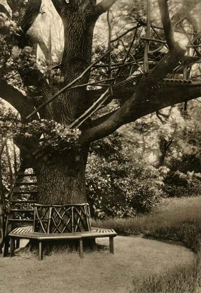 Rusztikus kezelés. - Nyári ház fán, ideális teaház, 1920. alkotó: Unbekannt