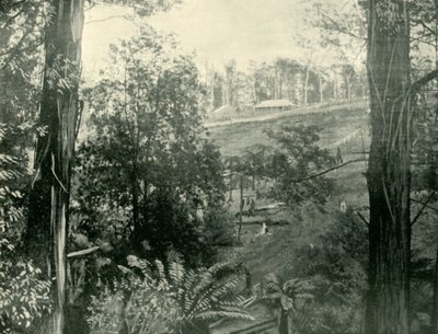 Jelenet Upper Gembrook-ban, Victoria államban, 1901. alkotó: Unbekannt