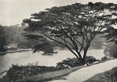 Tó, a Szent Fog Reed temploma és könyvtár Kandyban, a Victoria Drive-tól keletre nézve, 192 alkotó: Unbekannt
