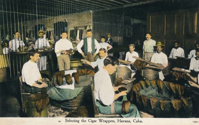 A szivarcsomagolók kiválasztása, Havanna, Kuba, c1910 alkotó: Unbekannt