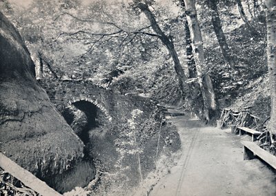 Shanklin - A kínai, 1895 alkotó: Unbekannt