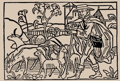 Pásztor. Rodericus Zamorensis: Az emberi élet tükréből, 1479 alkotó: Unbekannt