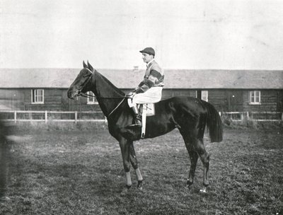 Felhőkarcoló, 1911. alkotó: Unbekannt