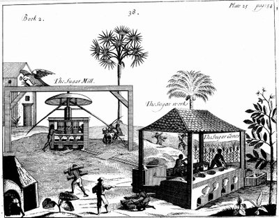 Rabszolgamunka egy cukorültetvényen Nyugat-Indiában, 1725 alkotó: Unbekannt