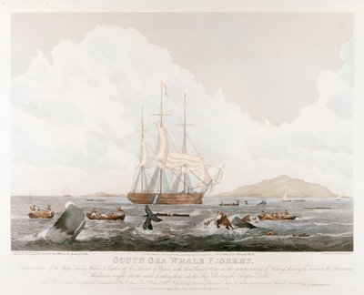 Déli-tengeri bálnahalászat, 1825 alkotó: Unbekannt